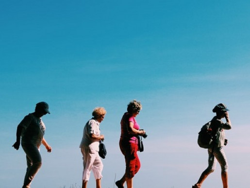 Gerontology Physiotherapy Level 1 -  Part B